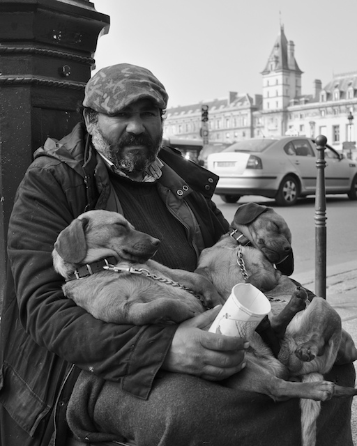 Homeless man and his two puppies on the streets of Paris.